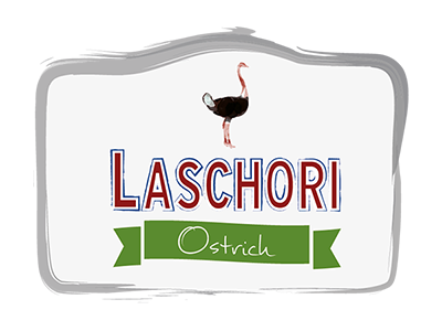 Laschori Strauß