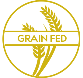 Grain Fed